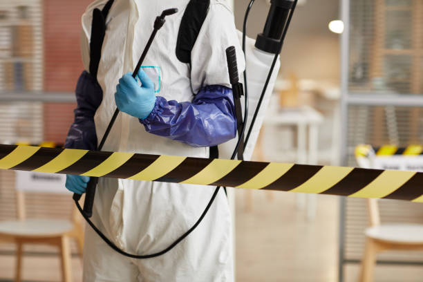 Professional Odor Removal technician working in Lamont, CA