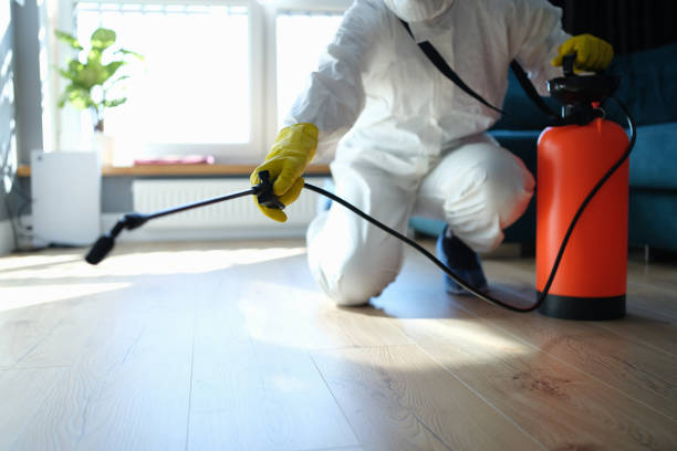 Reliable Odor Removal contractor in Lamont, CA by Trauma Clean Pros